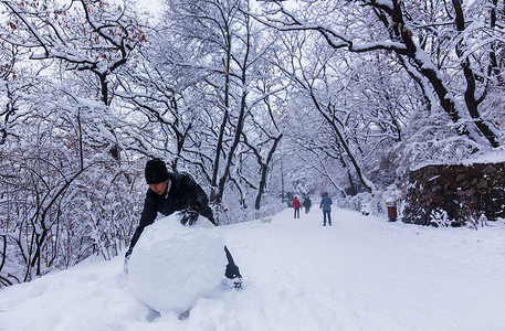 冬背景素材冬天雪景冬天下雪堆雪球的人背景