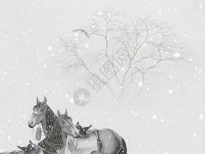 马的素材画风雪中的动物背景