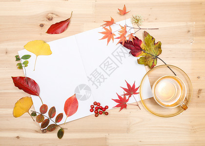 落叶木纸边框秋日落叶缤纷多彩的桌面背景