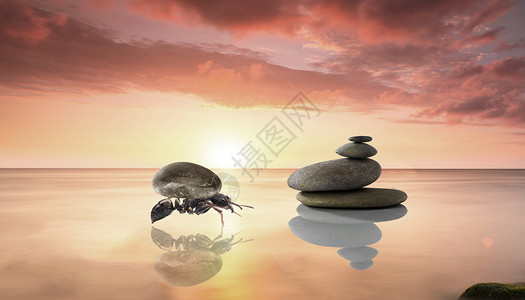石头海边蚂蚁努力背石头设计图片
