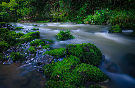 溪水石头宁静的小溪与绿色青苔背景