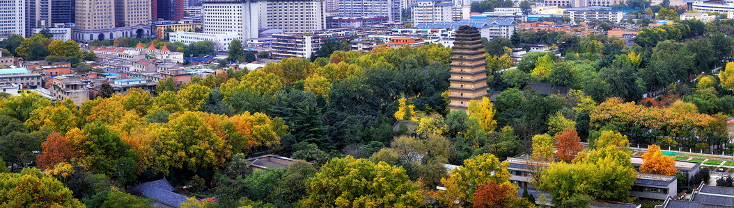 古建筑全景西安古城小雁塔秋色全景背景