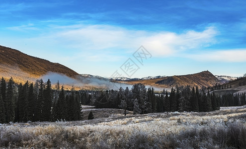 打翻北疆第一场雪背景