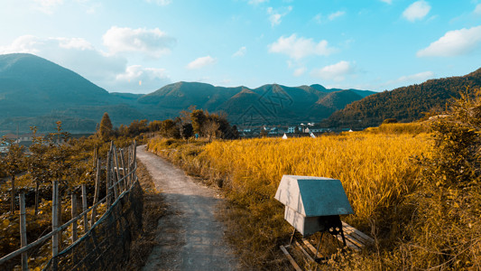 浙江小村庄夕阳下的农田背景图片