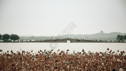 水墨摄影杭州西湖白堤断桥残藕背景