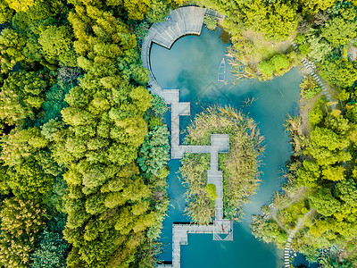 自然风景秋上海秋季自然风景航拍背景