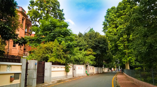 绿色树木中的空旷街道城市风景街景背景图片