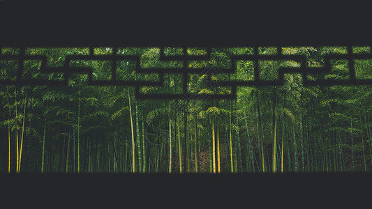 茂密的竹林中国大竹海背景