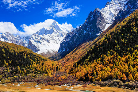 雪山森林亚丁风景区背景