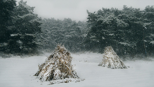 抚顺萨尔浒景区冬季下雪天美景高清图片