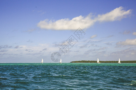毛里求斯海平线上的船帆高清图片