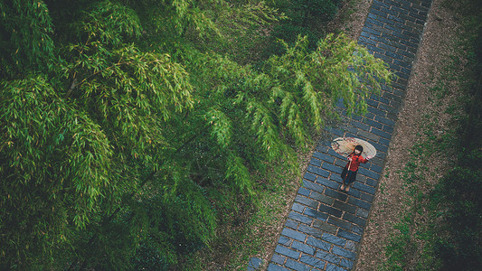 古风唯美背景竹林中国风小女孩背景