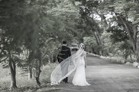 旅拍婚纱婚纱照片高清图片
