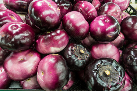 茄子紫色大茄子高清图片