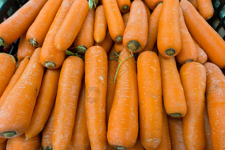 胡萝卜胡萝卜素高清图片