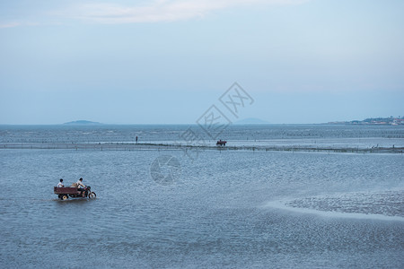 渔场渔民出海捞鱼背景图片