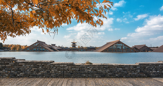 树叶墙上海广富林文化遗址背景