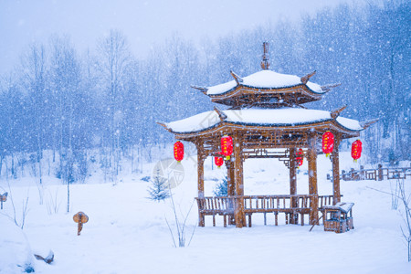 红灯笼雪东北雪乡雪中亭子背景