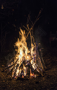 篝火燃烧兴旺的高清图片