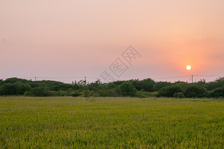 田间风景秋日黄昏下的农田背景