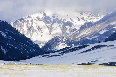 雪原树林新疆雪山雪原背景