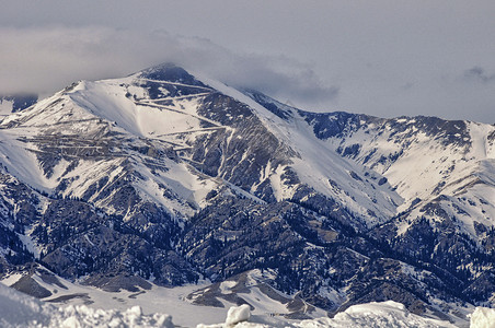 新疆雪山森林图片