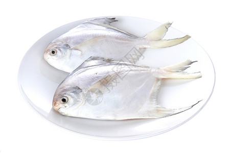 平鱼生鲜鲳鱼白底图背景