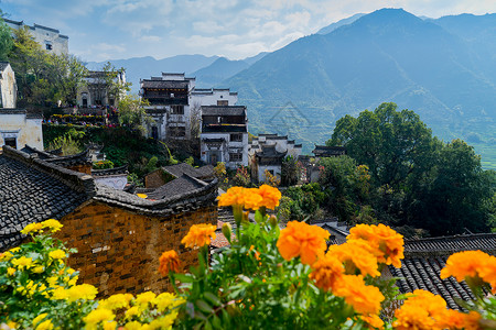 特色古镇江西婺源篁岭晒秋风光背景