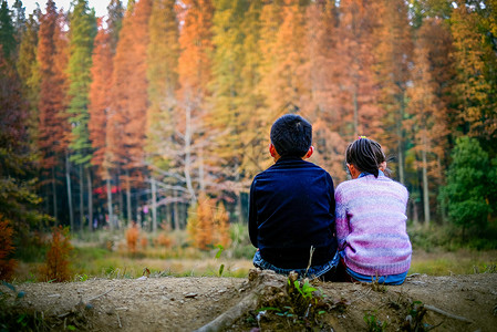 深秋美丽灿烂的杉树下的孩子高清图片
