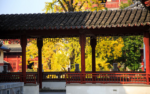 金色古建筑屋顶南京毗卢寺背景