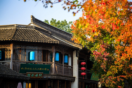 老银杏秋叶下的南京老门东背景