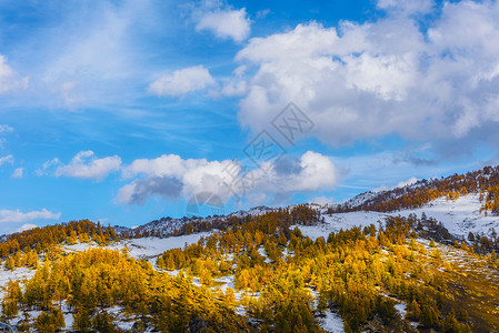 北疆雪山美景图片