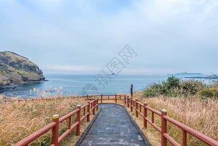 韩国著名景点韩国济州岛秋季海边风光背景