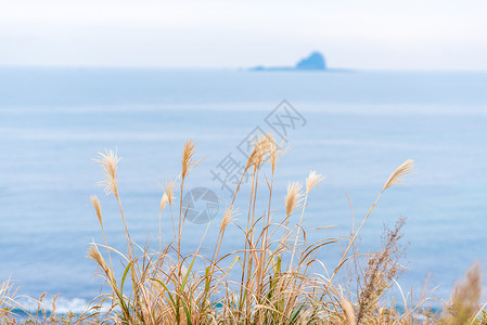 韩国济州岛秋季海边风光背景