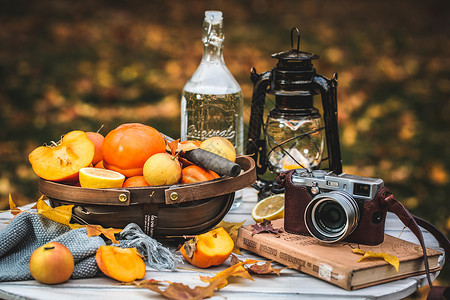 相机风格对话框秋冬户外野餐背景