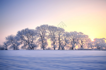 雪纺绸雾凇岛风光背景