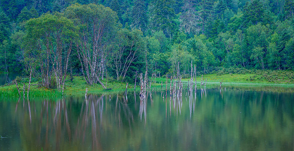 普达措国家公园背景图片