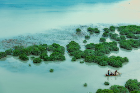 水彩风景背景墙福建霞浦红杉林背景