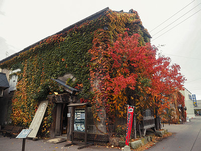 哨子馆日本北海道小樽背景