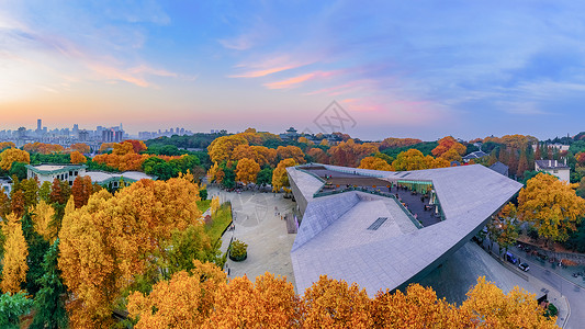 林木球果湖北武汉大学建筑背景