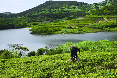 山群背景山间劳作的农民背景