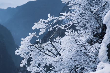 峨眉山背景图片