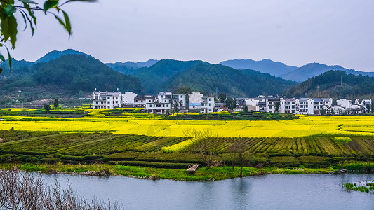 江西婺源风光背景图片