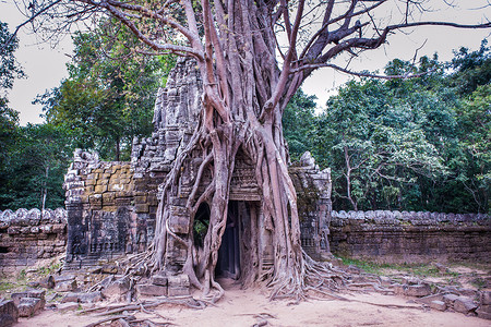 柬埔寨塔逊寺高清图片