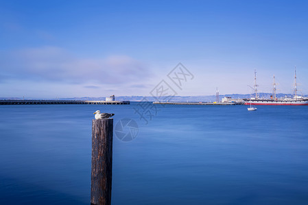 罗拉拉古纳美国加州拉古纳海港背景