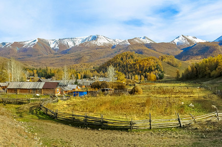 新疆白哈巴秋色背景图片