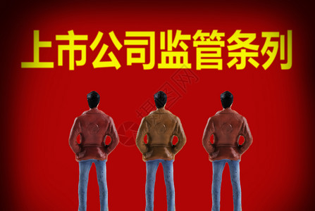 公司部门上市公司监管条例设计图片