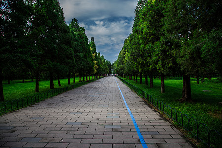 闭合公园里的林间小路背景