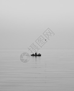 跟踪渔船海鸥黑白滇池背景