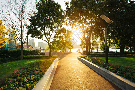 夕阳下的公园图片